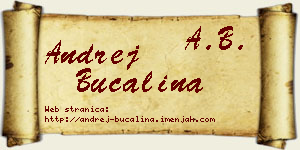 Andrej Bučalina vizit kartica